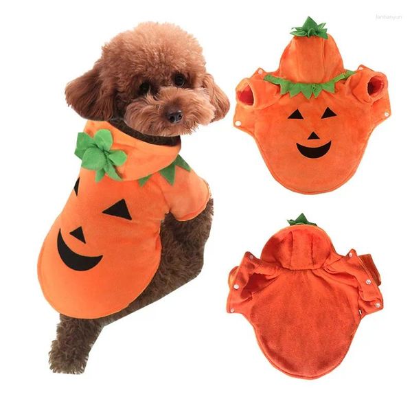 Vêtements pour chiens halloween drôles de vêtements de compagnie costume costume cosplay