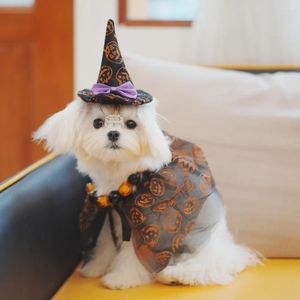 Hondenkleding Halloween-outfits Schattige mantel Hoeden Kostuum Grappige pompoenprint Sjaalkragen Puppy-accessoires Huisdier Festival Feestkleding