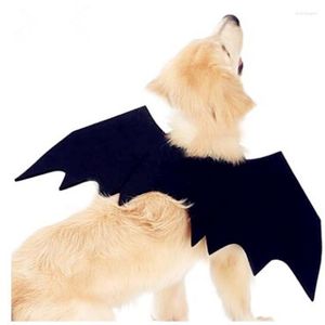 Vêtements pour chiens Halloween ailes de chauve-souris pour animaux de compagnie petit grand chat Costume vêtements