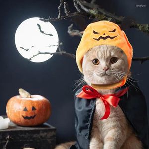 Hondenkleding Halloween Pet Hat Kostuum Evil Bat Hats voor katten en honden Cat Cosplay grappige hoofddeksels