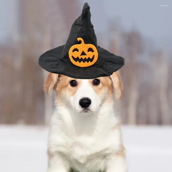 Appareils pour chiens Halloween Pet Hat Couchette Spooky Witch Ajustement léger réglable avec la citrouille de chauve-souris pour fourrure