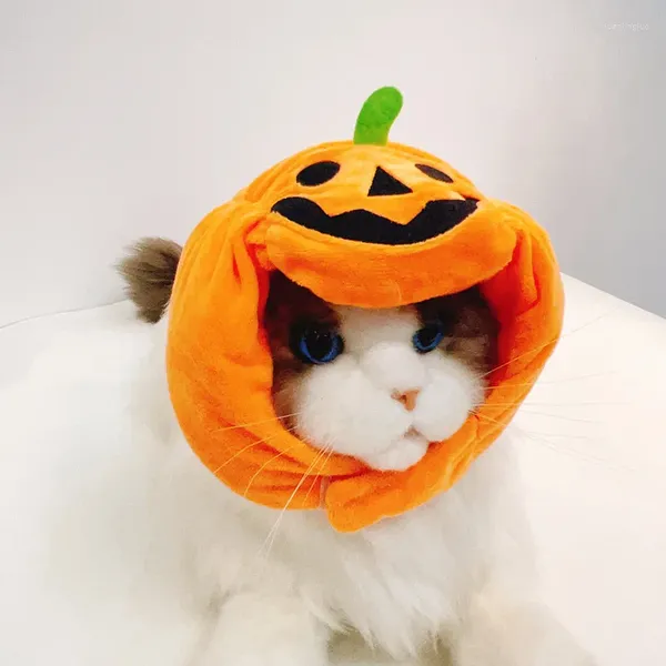 Ropa para perros Halloween Calabaza Murciélago Impresión Mascota Gato Sombrero Lindo Moda Cabeza Cubierta Contraste Color Divertido Decoración Accesorios