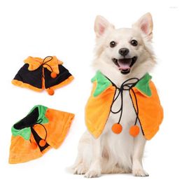Hondenkleding Halloween-pompoen Dubbelzijdige kat met mantel aan beide zijden Dierenkleding Leuke ornamenten voor producten