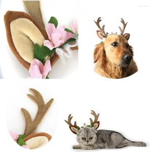 Appareils pour chiens Halloween The Rendeer Bandband pour chat Party Pet Dogs Antler Winter Cosplay Supplies