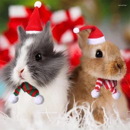 Hondenkleding Hamster Kerstmiskostuum cavia Mini kleine huisdier items hoed sjaalhoofdkleding outfits voor chinchilla -accessoires