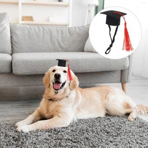 Hamster pour chien Hamster Graduation Cap chinchilla chapeau décoratif avec gland