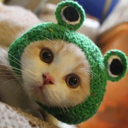 Vêtements pour chiens tricotés à la main chapeau pour animaux de compagnie 3D décor d'oeil de grenouille couvre-chef confortable pour l'automne hiver fournitures de chat mignon