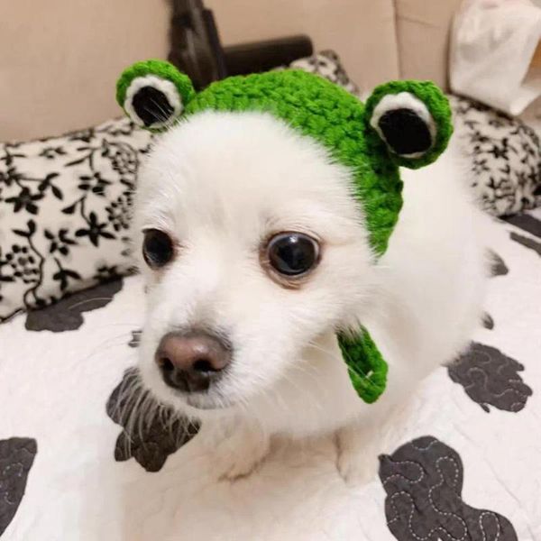 Vêtements de chien tricotés à la main chapeau d'animal de compagnie laine 3D décor d'oeil de grenouille couvre-chef confortable pour l'automne hiver chat mignon