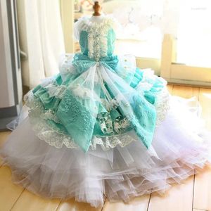 Vêtements pour chiens Vêtements faits à la main Fournitures pour animaux de compagnie de luxe Classique Crinoline Robe traînant chapelle train perle dentelle tulle robe de mariée pographie