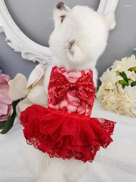 Vêtements pour chiens Vêtements faits à la main Robe de princesse pour animaux de compagnie Gaze rouge Voir à travers une jupe en dentelle ajourée sexy éblouissante accessoires d'arc à paillettes une pièce