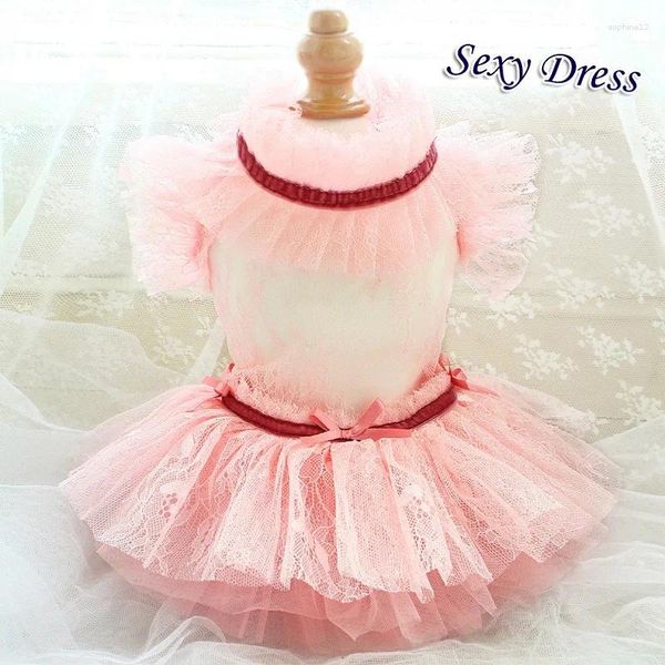 Vêtements pour chiens Vêtements faits à la main Fournitures pour animaux de compagnie Robes de fille sexy Ajourée Jupe en dentelle rose douce One Piece Party Holiday Tutu Maltese Yorkie