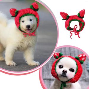 Hondenkleding blij voor honden kostuums schattige aardbeien hoed kat hand gebreide huisdier kleding accessoires strandstaarten omhoog