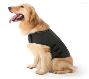 Vêtements pour chiens harnais