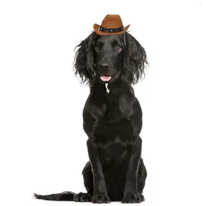 Chapeau de vêtements pour chiens - Costume accessoire de chapeau drôle (café au café Random Couleur)