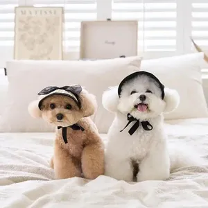 Chapeaux de vêtements pour chiens en dentelle de base de sol