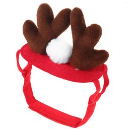 Hondenkleding hoofdband kostuum hoofdtooi pet prop cosplay kat decor kerst pluche haaraccessoire klein