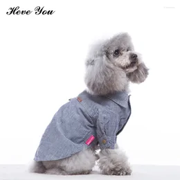 Vêtements pour chiens heve you chemise à carreaux de printemps Drop vêtements de compagnie décontractés en peluche chihuahua manteau coton Cat Vêtements 3Colors