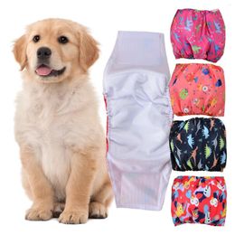 Appareils pour chiens Absorbance élevée Pantage pour animaux de compagnie pour chiens mâles.