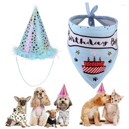 Hondenkleding Hoge kwaliteit hoeden voor honden Pet Verjaardagsfeestje Hoed Leeftijd Jubileum Speeksel Handdoek Set Drop