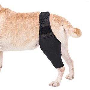 Attelle de hanche pour vêtements pour chiens, genouillère fabriquée avec un tissu respirant et élastique offrant un soutien supérieur