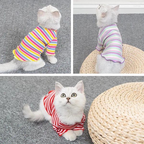 Vêtements de chien Hokerbat Cat Vêtements Été Anglais Court Bleu Chaton Marionnette Pet Mince Mignon Beau Chemise De Fond