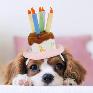 Vêtements pour chiens de vacances costume de compagnie chat petit chapeau d'anniversaire