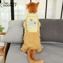 Vêtements de chat pour chiens Vêtements de chat Automne Hiver Sphinx Costume Soft Fulne Sweets Kedi Katten Sweater chaud Chihuahua Pug Vêtements