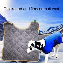 Hondenkleding verbeteren overlevingspercentage gesp gespoeld ontwerp kalf lam warme vestjacht accessoires
