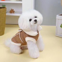 Vêtements pour chiens manteau extérieur intérieur élégant de corde de traction boucle coton coton jolis vêtements d'hiver épaissis pour les petits chiens moyens