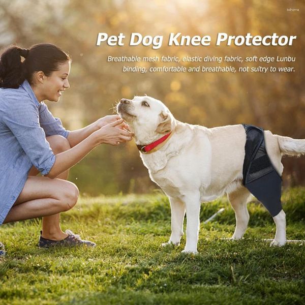 Recuperación de ropa de perro Recuperación de soporte fijo Protector de mascotas Alivio de alivio Pies cubierta articulación de la pierna recuperación de la rodilla de la rodilla
