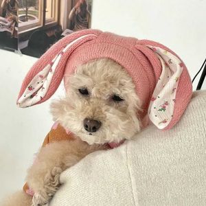 Vêtements de chien ins mignons oreilles de lapin à tricot de compagnie de tricot et d'hiver chiot de chat chaud bichon en peluche en peluche accessoires de chapeaux froids h240506