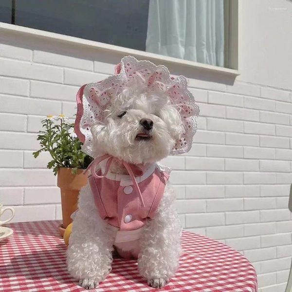 Appareils pour chiens Ins Korea Pet Hat Princess Maid Lace Lace Country Style brodé de taille libre de haute qualité pour Teddy Chihuahua Malzis