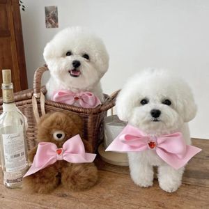 Vêtements de chien INS Pet Papillon Bow Cravate Glitter Strass Bavoir Pince À Cheveux Ensemble Chat Chiot Bichon Teddy Po Accessoires Accessoires Collier