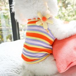 Vêtements pour chiens Ins vêtements pour animaux de compagnie pour chiens vêtements gilet chaud chemise chiot chat rayé manteau animaux Macaron