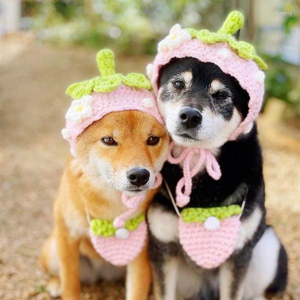 Vêtements pour chiens Ins Chapeau de fraise pour animaux de compagnie Coiffe mignonne faite à la main Petite sacoche Shopping Po Accessoires Chapeaux pour chiens