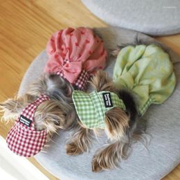 Vêtements pour chiens chi chiot jupe de citrouille pour animaux