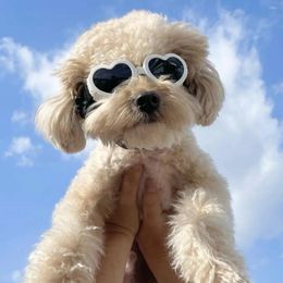 Vêtements de chien INS Summer Fournitures pour animaux de compagnie Bichon Teddy Love Lunettes de soleil Lunettes de soleil anti-UV Lunettes de coupe-vent Chats Chiots Accessoires généraux