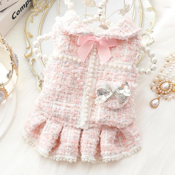 Vêtements pour chiens Ins Winter vêtements chat robe princesse sac à dos rose du design de mode de luxe Jupe épaissie de jupe Noël