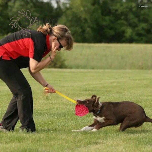 Ropa de perros Bola interactiva Juguete Grande Dogs Training Tugs Almohada Nylon Rope Many Pet Toys para equipos de agilidad