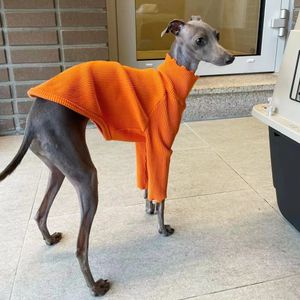 Vêtements pour chiens lévriers italiens et vêtements whippet iggy pull orange dentelle body col haut stretch vêtements à manches longues 231211