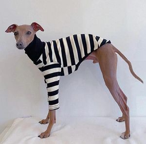 Vêtements pour chiens italiens Greyhound vêtements col haut rayé coton stretch chiot Whippet Lingtons moyen automne animal de compagnie