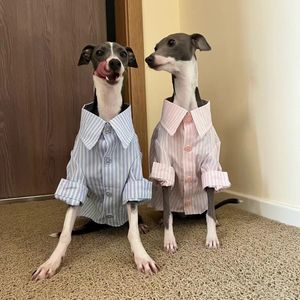 Vêtements pour chiens Vêtements pour lévriers italiens Chemises Whippet Summer Striped Puppy Big 230717