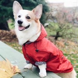 Cão vestuário jaqueta ins explosão na moda à prova de vento e à prova de chuva retro engrossado capa de chuva pet para cães médios grandes