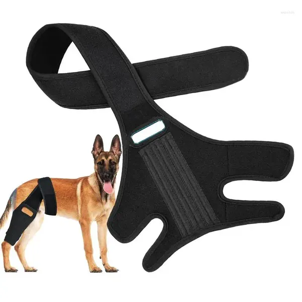 Appareils pour chien Atipport de soutien aux chiens pour chiens Apriques à manches bras ajusté Bandages de jarrets