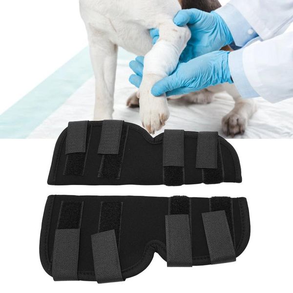 Appareil de chien Pouche du genou Soucile Réduction de la douleur Protection de l'articulation Support de jambe arrière pour la récupération postopératoire