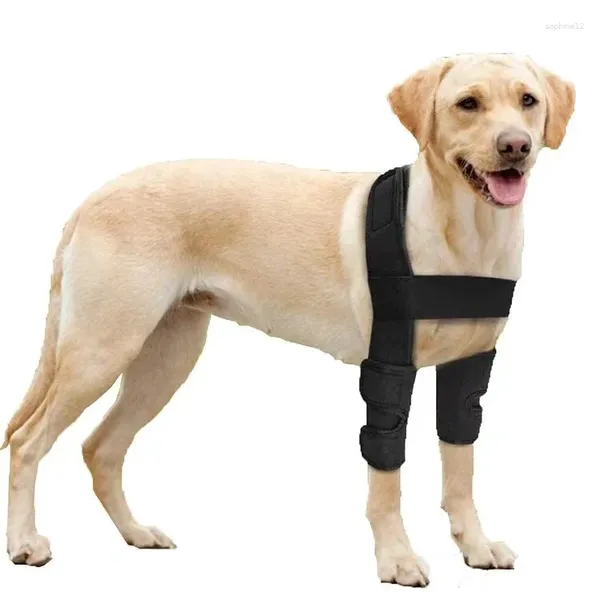 Vêtements de chien Genouillères Jambe Équipement de protection pour animaux de compagnie pour accessoires de blessures