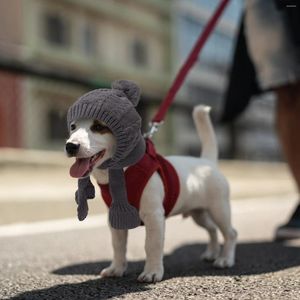 Appareils à chiens Chapeau en tricot Chapeaux Headgear Small Costume Decorative Yarn Robe Headress Men Femmes Femmes