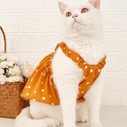 Vêtements de chien kiton coréen chaton chiens vêtements élégant robe à points orange fête petit vêtements chat mince été sweet bichon mignon en gros