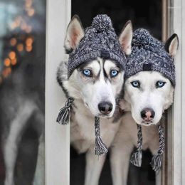 Hondenkleding kx4b winter warme hoed voor kleine medium frans gebreide pet winddichte bal huisdier hoofddeksel