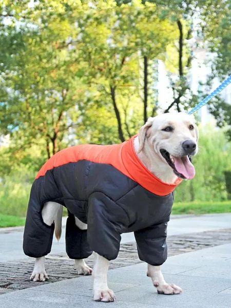 Vêtements pour chiens Labrador Vêtements à quatre pattes Moyen et grand cheveux d'or épaissi coton animal de compagnie hiver husky